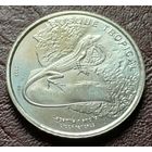 Коста-Рика 50 колонов, 2023  Шелковистый анолис    ( 2-8-6 )