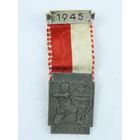 Швейцария, Памятная медаль 1945 год. (1481).