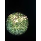 Монокуляр "OPTOMAX", Германия, 8*30, оптика чистая.