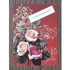 Беларусь 1992г. ДМПК(Открытка) фото Дергилёва. С Днем рождения! (бел.яз.) Чистая.