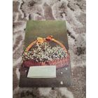 Открытка 8 марта 1970