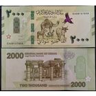 Судан 2000 фунтов 2025 г. UNC