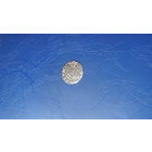 Динарий 1594                                                     (1029)