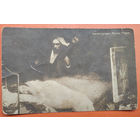 Открытка Российской империи. Балестриери Мими.Мими. До 1917. Чистая.