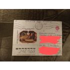 Беларусь провизорий Осиповичи Могилёв обл искусство культура