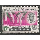 Малайские штаты(Перак). Цветы. Орхидея Ранхостилис. 1965г. Mi#120.