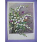 Гришина В., Ландыши, 1957, подписана.