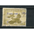 Куба - 1965 - Птицы 50С - [Mi.503] - 1 марка. Гашеная.  (LOT Fe47)-T10P38