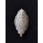 Деталь( красивая)