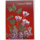 1 Мая. Чистая. 1990 года. Дергилёва.