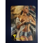 Календарик 2001 г.  MUL-T-LOCK.