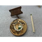 Знак Южная группа войск