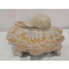 Все лоты с 1р.Ракушка для украшений фарфор большая