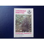 Календарик 1987 г.  Красная книга Узб.ССР. Орлан-белохвост.