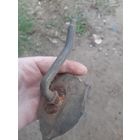 Лот по вермахту