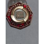 Значок " Всесоюзный смотр "