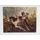 Савицкий. Борзые с лисицей