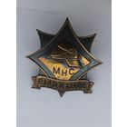 Знак МЧС, пожарный, вставка в отличник