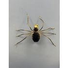 Винтажная брошь паук