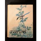 Путешествие в мир птиц | Голованова Э.Н Пукинский Ю.Б. | Птицы | Животные | Природа