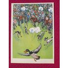 Сезон начался! Семенов 1960 г. Чистая. Кр1.