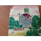 Виниловая пластинка. М.Кристалинская