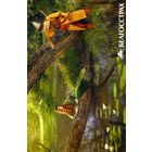 Календарик карманный Страхование Белгосстрах 2017