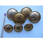 Пуговицы лесника (Мосштамп, 1970 г.). цена за 1 шт.