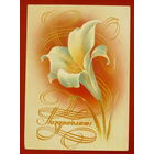 Поздравляю! Чистая. 1984 года. Воронин. 711.