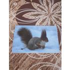 Календарик,реклама,2007