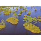 Беларусь Белпошта 2021 озеро "Курганистое" заказник "Ельня" Витебская область