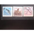 1960, Морская фауна, полная серия