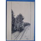 Романов С. Деревья. Рисунок. Тушь. Бумага. 15х21 см