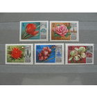 Продажа коллекции с 1 рубля! Чистые почтовые марки СССР в коллекционном** состоянии.