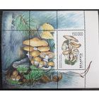 1999 Грибы Беларусь