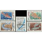 Рыбы Байкала СССР 1966 год (3399-3403) серия из 5 марок
