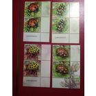 Беларусь 2015г. Жуки.