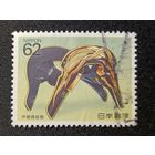 Япония, 1990. Седло Акито-Маки-э