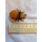 Брошь СССР янтарь старая