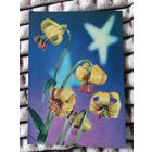 Открытка цветы