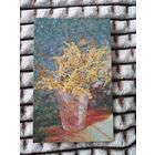 Открытка Мимоза