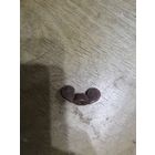 Латунный барашек.