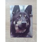 Календарик 1992