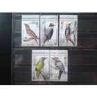 2022 Дятлы** Полная серия