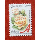 Беларусь. Стандарт. ( 1 марка ) 2008 года. 9-4.