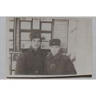 Фото в коллекцию