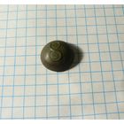 Пуговица Лубенский 8-й гусарский полк