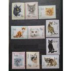 Польша;1964г. ; полная серия;Mих 1475 -84 10 марок ;Кошки; Фауна MNH OG(ma)