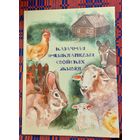 Казачная энцыклапедыя свойскіх жывёл: Казкі, вершы, апавяданні Мастак Дар'я Кулік