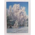 Открытка из СССР, 1990г. Подписанная.